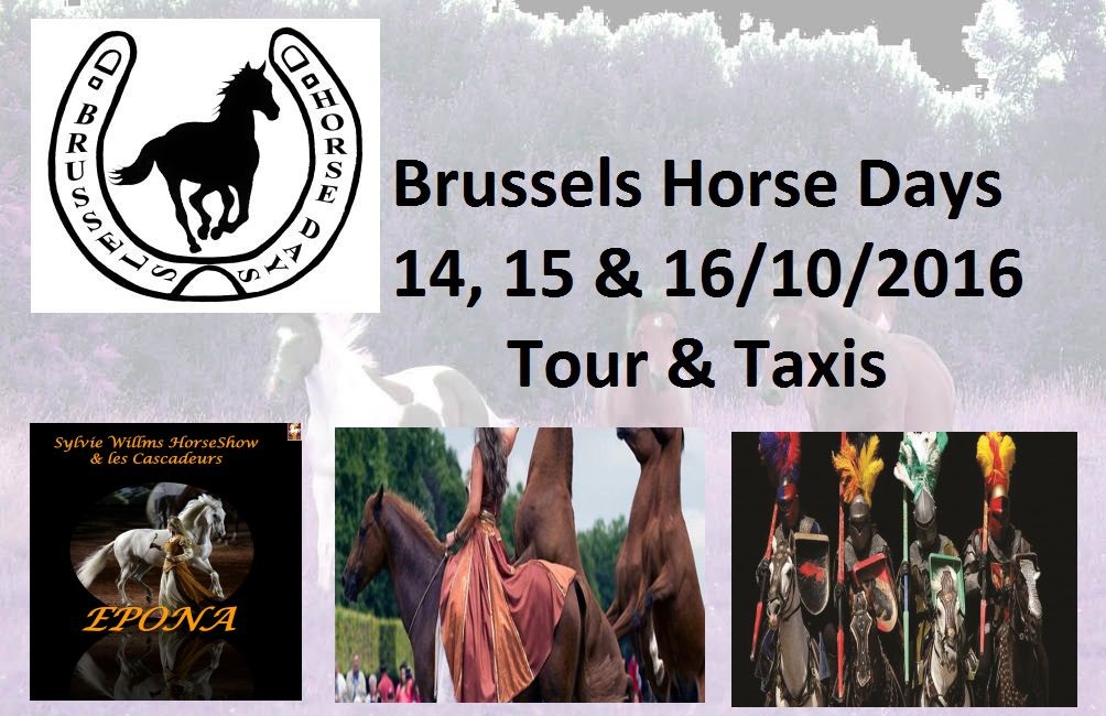 Du 14 au 16 octobre - Brussels Horse Days