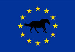 Equestrian Tourisme Europ